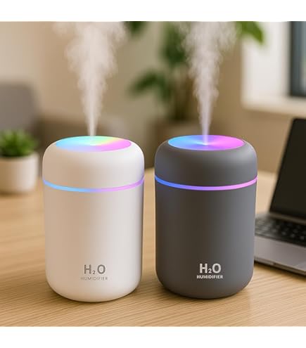 Portable H2O Humidifier